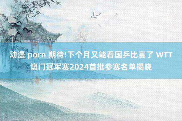 动漫 porn 期待!下个月又能看国乒比赛了 WTT澳门冠军赛2024首批参赛名单揭晓