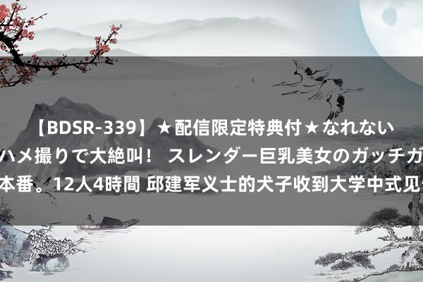 【BDSR-339】★配信限定特典付★なれない感じの新人ちゃんが初ハメ撮りで大絶叫！ スレンダー巨乳美女のガッチガチ生本番。12人4時間 邱建军义士的犬子收到大学中式见告书 渴慕能与他共享这份甘心