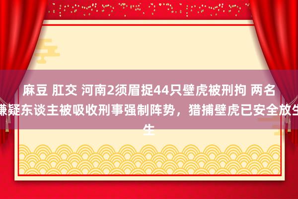 麻豆 肛交 河南2须眉捉44只壁虎被刑拘 两名嫌疑东谈主被吸收刑事强制阵势，猎捕壁虎已安全放生