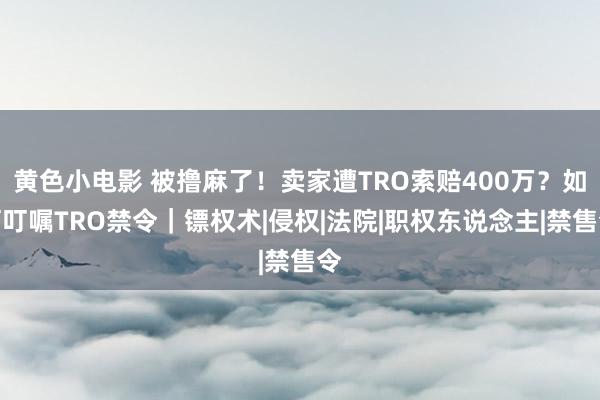 黄色小电影 被撸麻了！卖家遭TRO索赔400万？如何叮嘱TRO禁令｜镖权术|侵权|法院|职权东说念主|禁售令