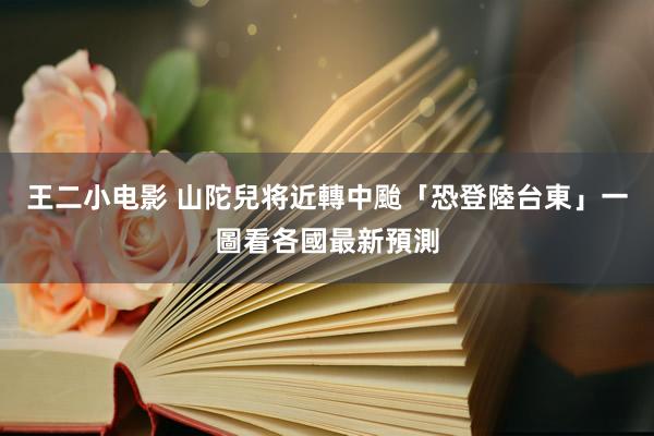 王二小电影 山陀兒将近轉中颱「恐登陸台東」　一圖看各國最新預測